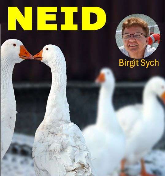 neid sych – TCG-Ohof